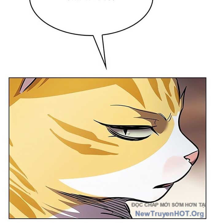 Hóa Thân Thành Mèo Chap 375 - Next Chap 376