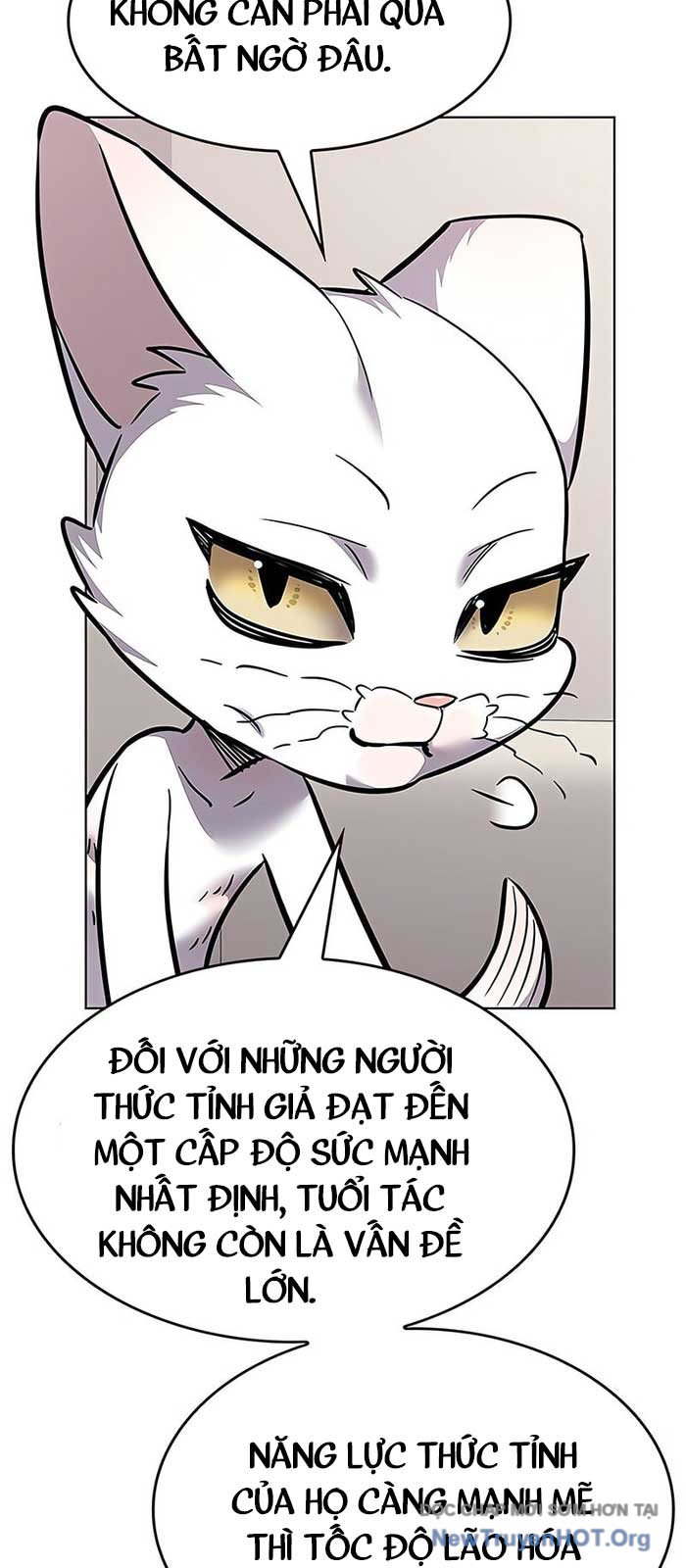 Hóa Thân Thành Mèo Chap 375 - Next Chap 376