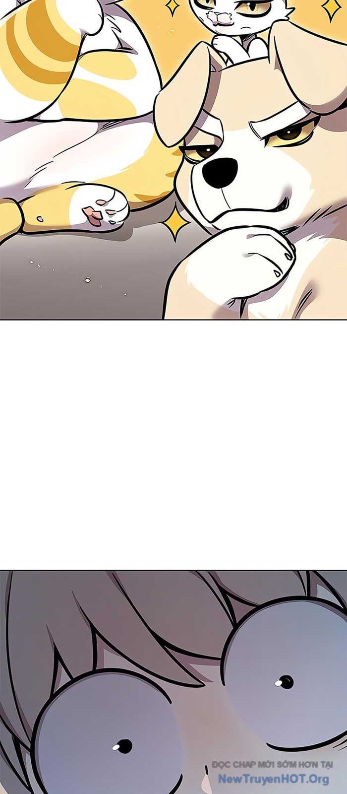 Hóa Thân Thành Mèo Chap 375 - Next Chap 376