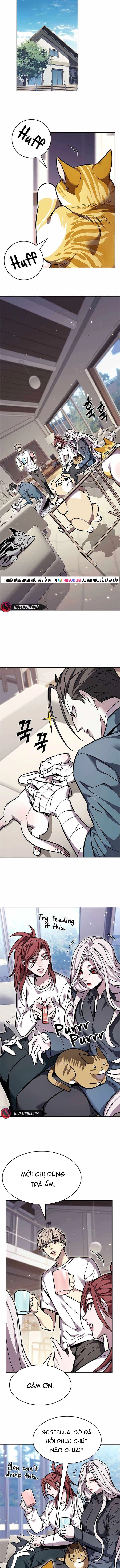 Hóa Thân Thành Mèo Chap 376 - Next Chap 377