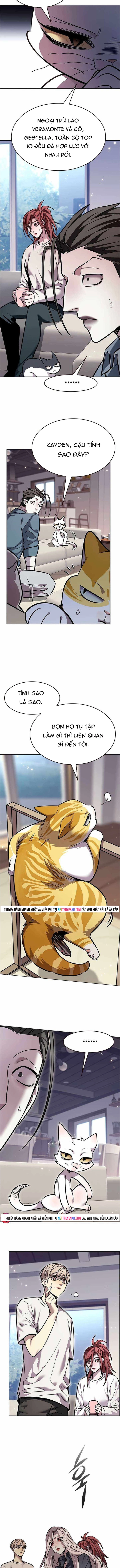 Hóa Thân Thành Mèo Chap 376 - Next Chap 377