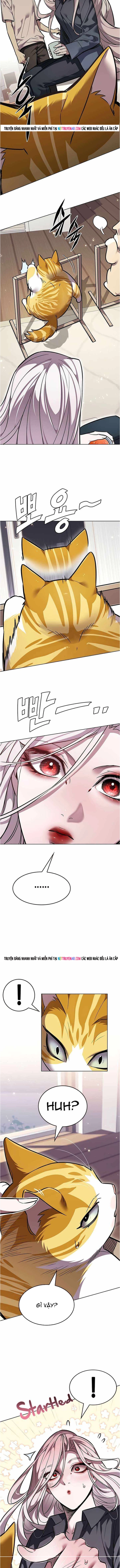 Hóa Thân Thành Mèo Chap 376 - Next Chap 377