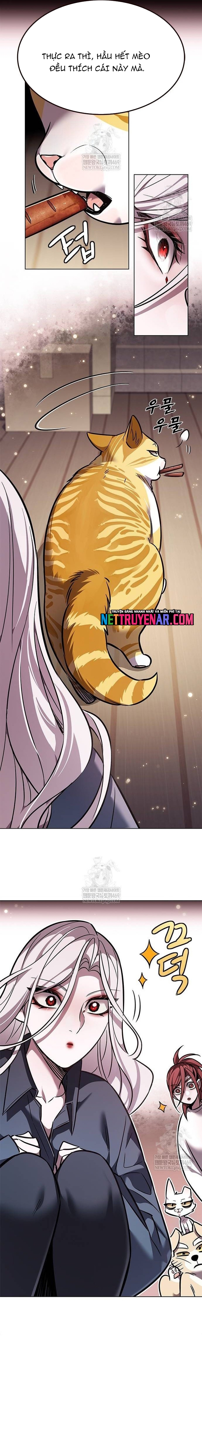 Hóa Thân Thành Mèo Chap 377 - Next Chap 378