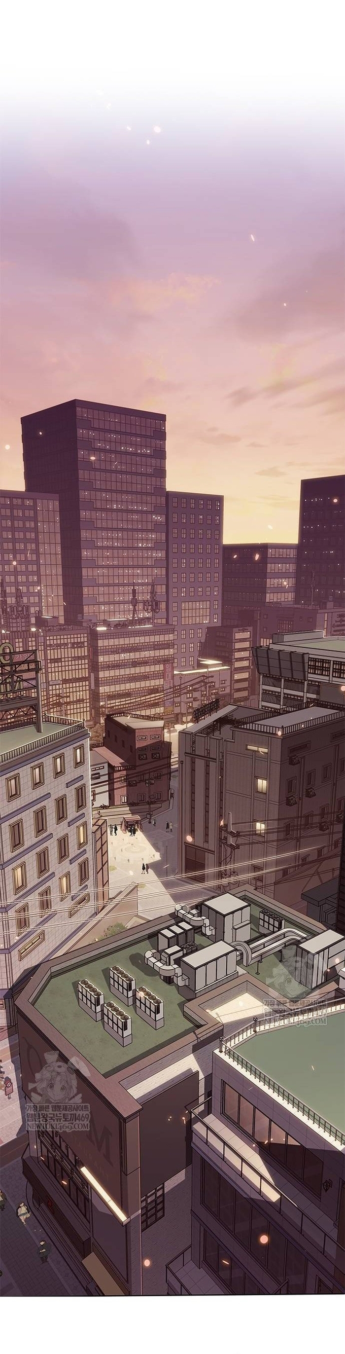 Hóa Thân Thành Mèo Chap 377 - Next Chap 378