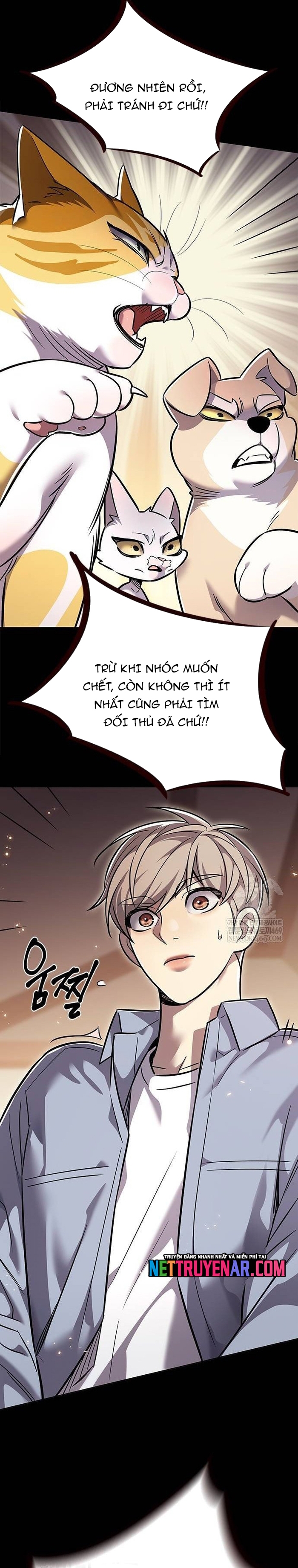 Hóa Thân Thành Mèo Chap 377 - Next Chap 378