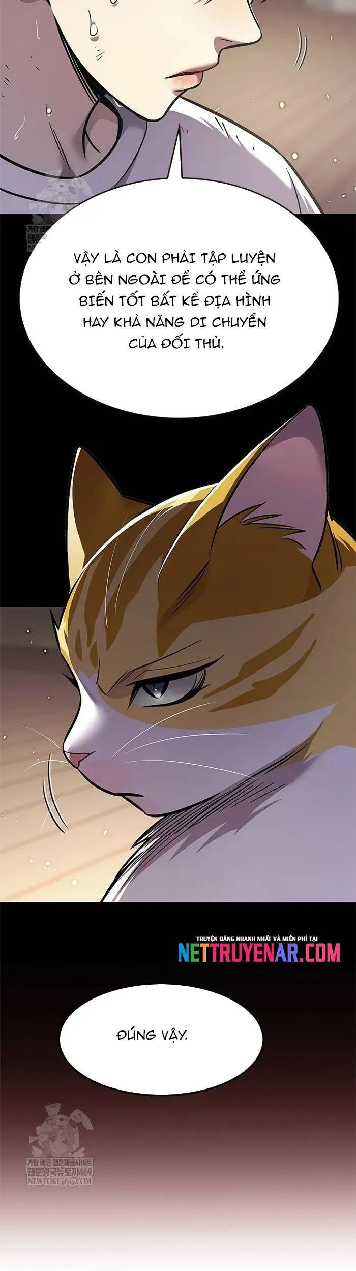 Hóa Thân Thành Mèo Chap 377 - Next Chap 378