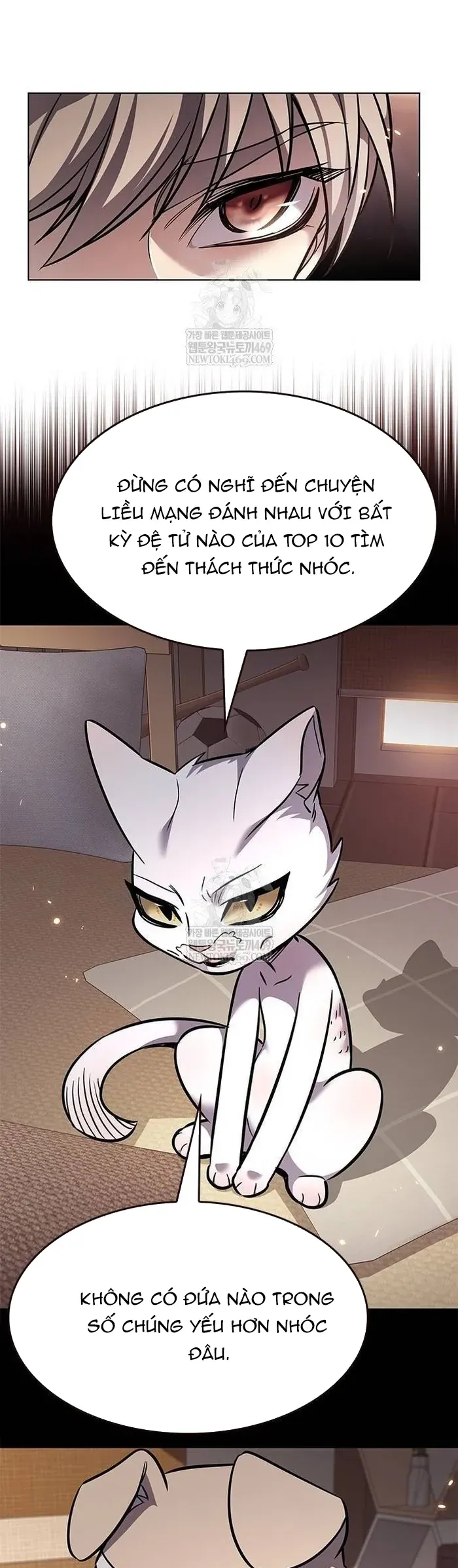 Hóa Thân Thành Mèo Chap 377 - Next Chap 378