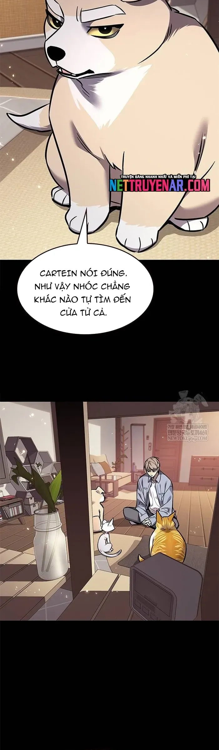 Hóa Thân Thành Mèo Chap 377 - Next Chap 378