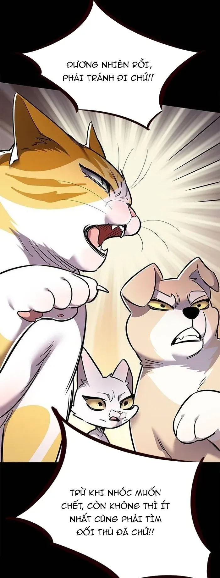 Hóa Thân Thành Mèo Chap 377 - Next Chap 378