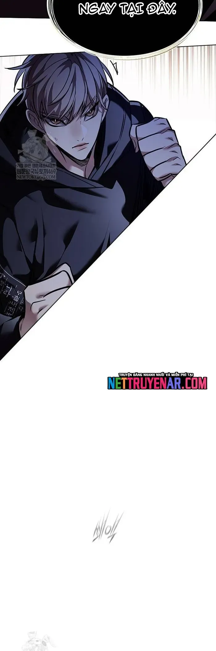 Hóa Thân Thành Mèo Chap 377 - Next Chap 378