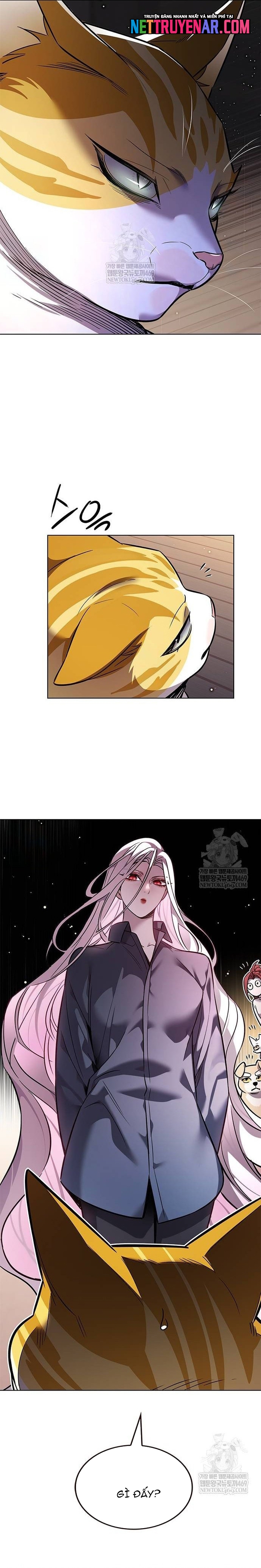 Hóa Thân Thành Mèo Chap 377 - Next Chap 378