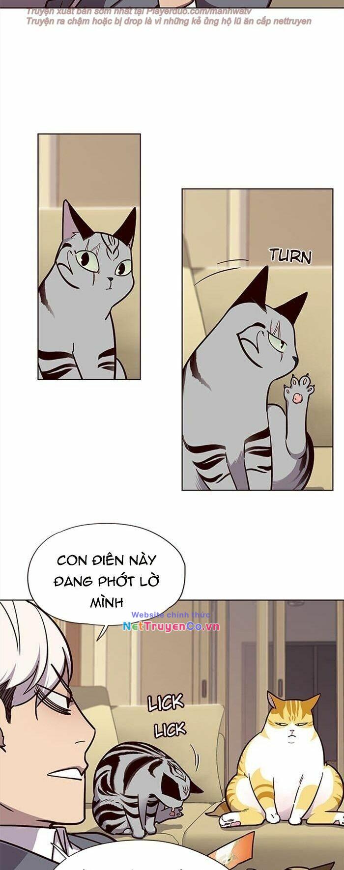 Hóa Thân Thành Mèo Chap 38 - Next Chap 39