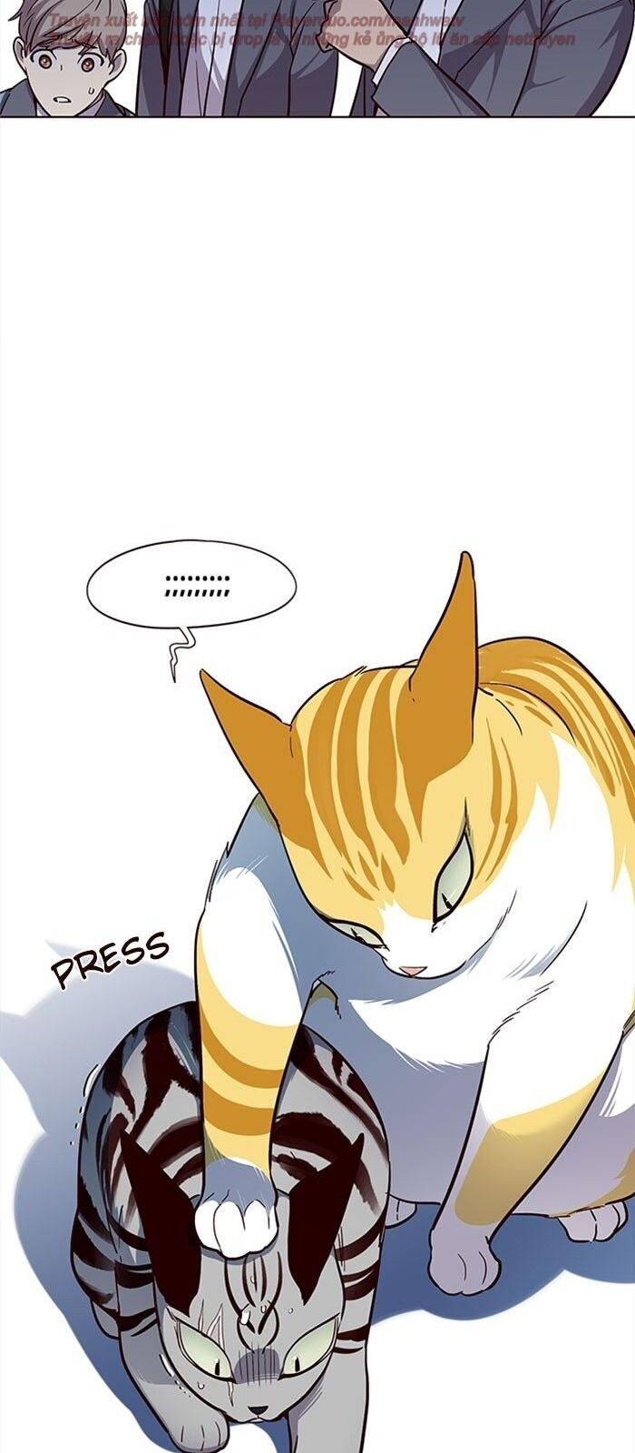 Hóa Thân Thành Mèo Chap 38 - Next Chap 39