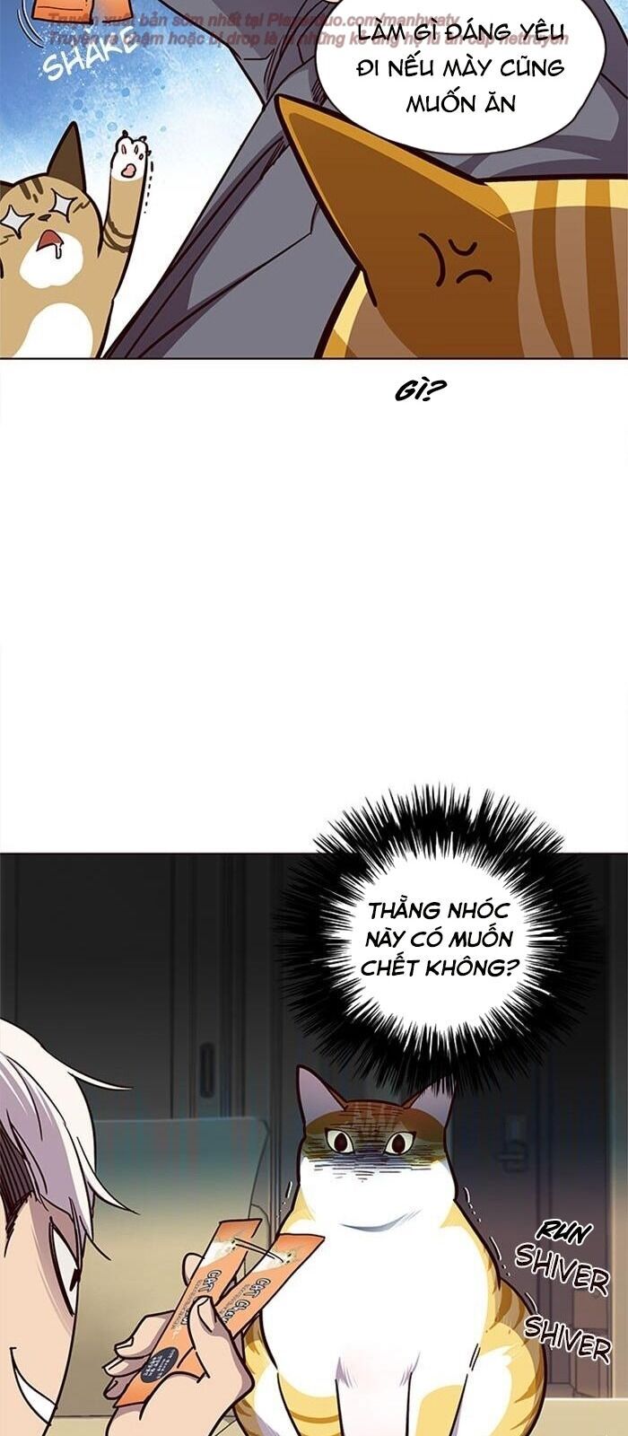 Hóa Thân Thành Mèo Chap 38 - Next Chap 39