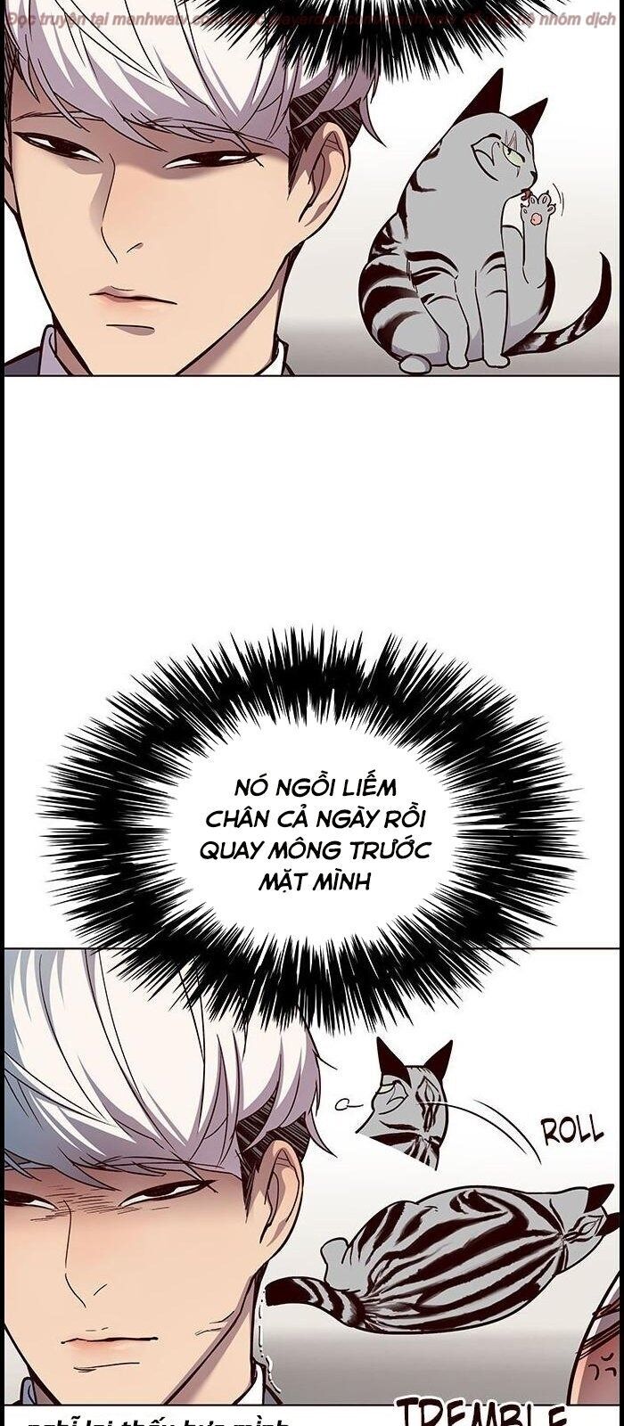 Hóa Thân Thành Mèo Chap 39 - Next Chap 40