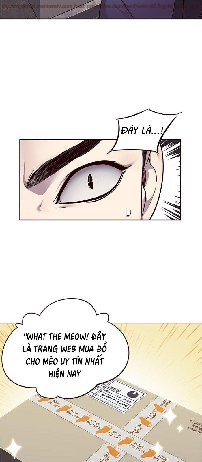 Hóa Thân Thành Mèo Chap 39 - Next Chap 40