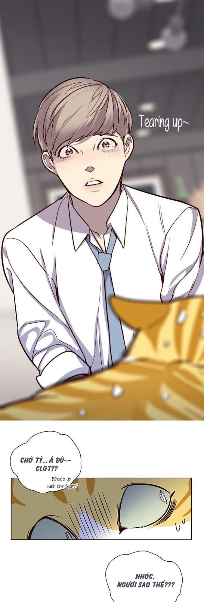 Hóa Thân Thành Mèo Chap 4 - Next Chap 5