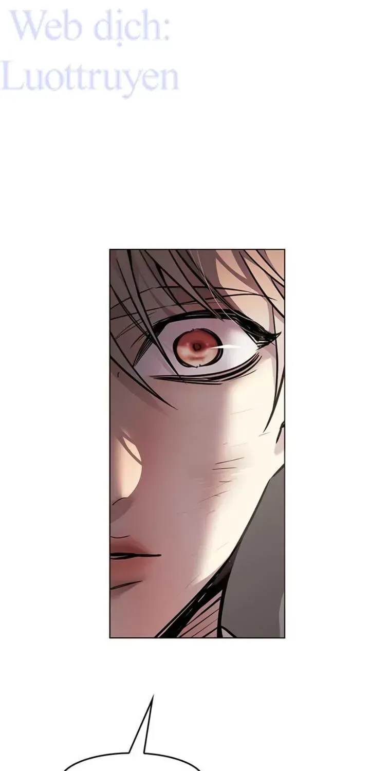 Hóa Thân Thành Mèo Chap 403 - Next Chap 404
