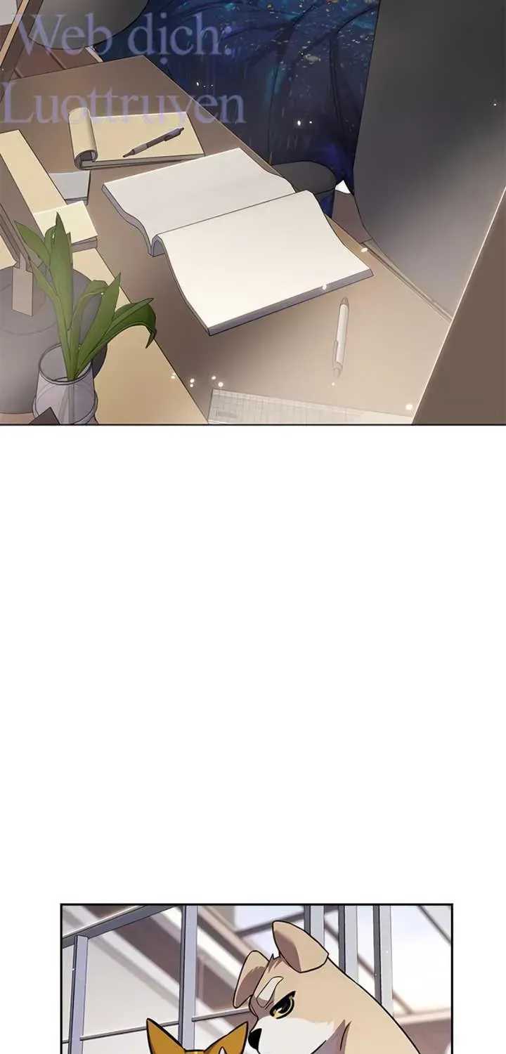Hóa Thân Thành Mèo Chap 403 - Next Chap 404