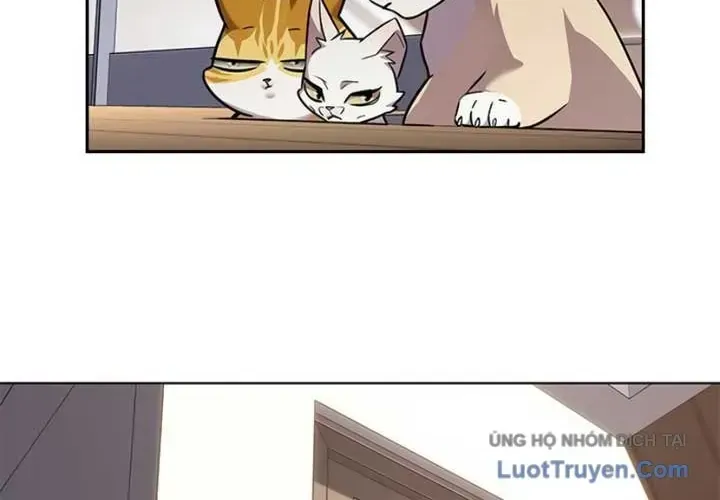 Hóa Thân Thành Mèo Chap 403 - Next Chap 404