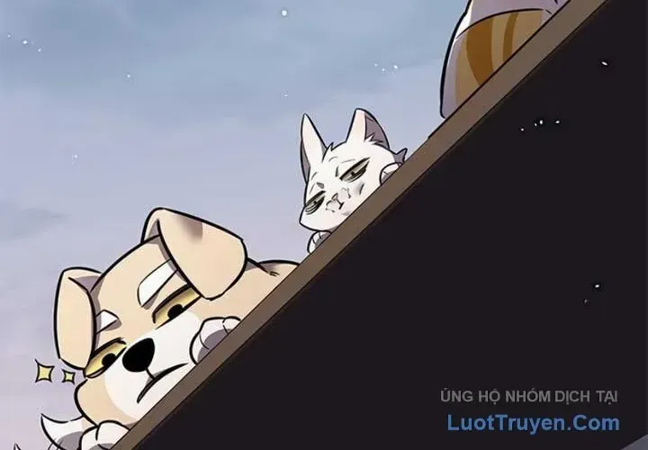 Hóa Thân Thành Mèo Chap 403 - Next Chap 404