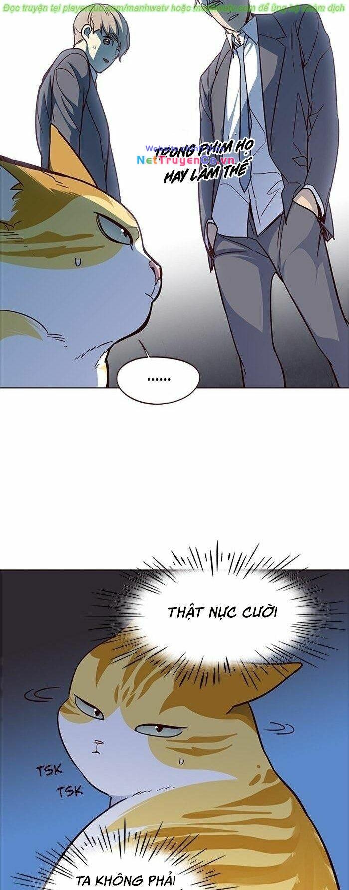 Hóa Thân Thành Mèo Chap 41 - Next Chap 42