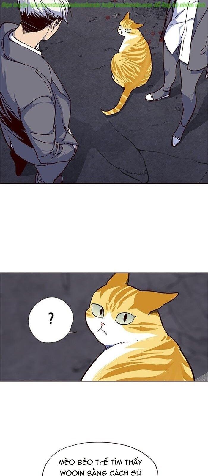 Hóa Thân Thành Mèo Chap 41 - Next Chap 42