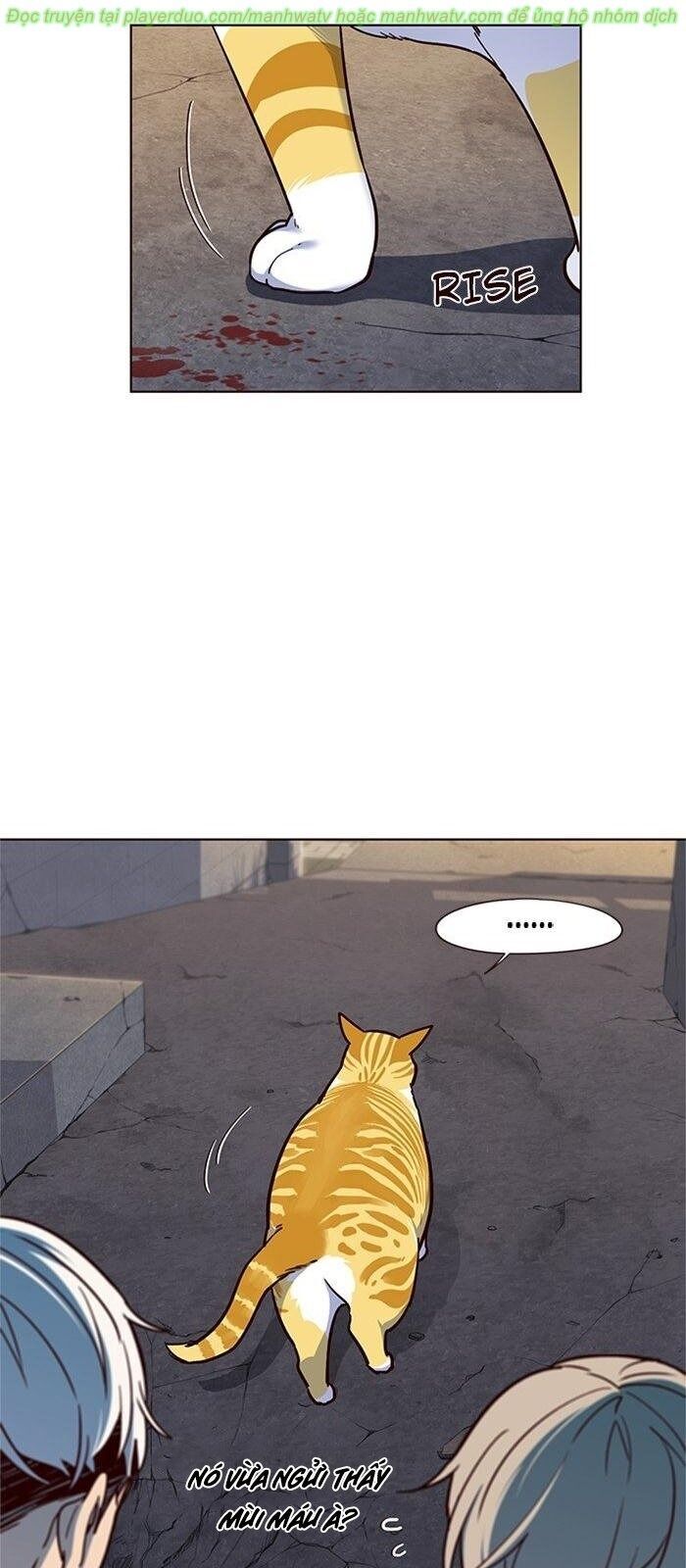 Hóa Thân Thành Mèo Chap 41 - Next Chap 42