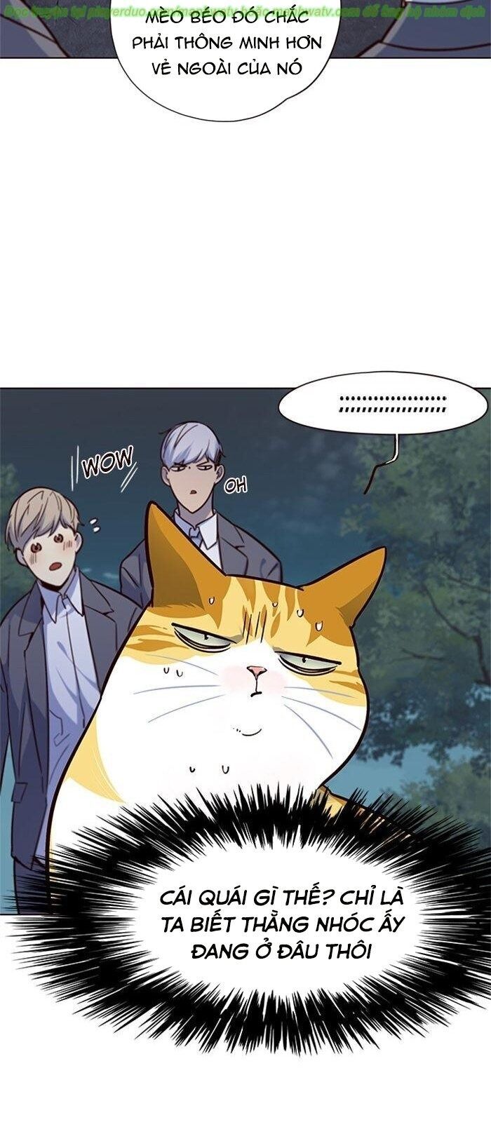 Hóa Thân Thành Mèo Chap 41 - Next Chap 42