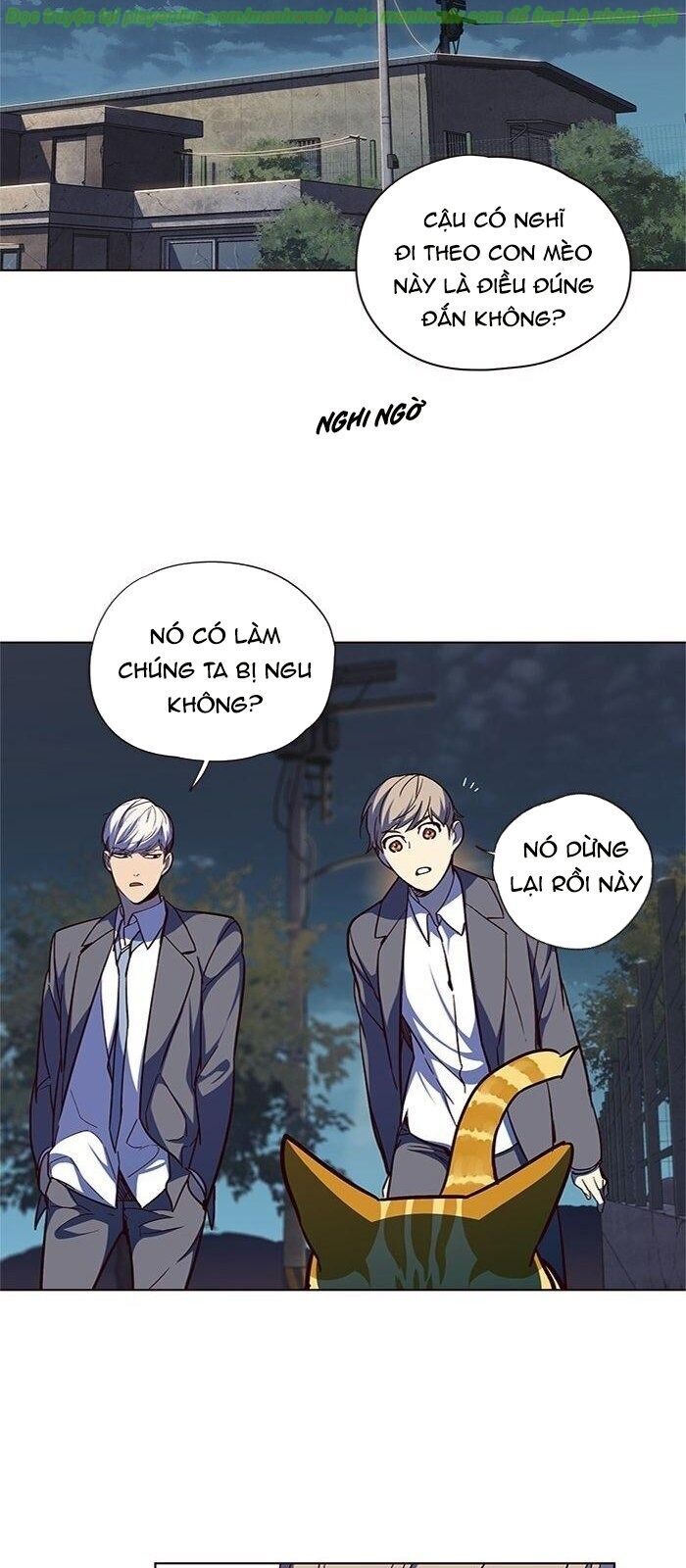 Hóa Thân Thành Mèo Chap 41 - Next Chap 42