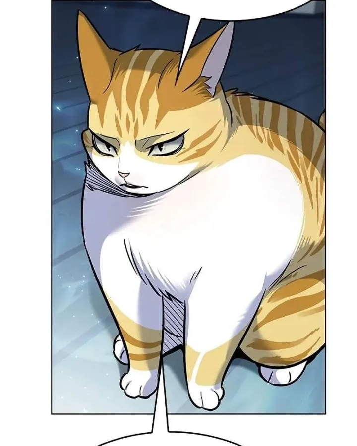 Hóa Thân Thành Mèo Chap 412 - Next Chap 413