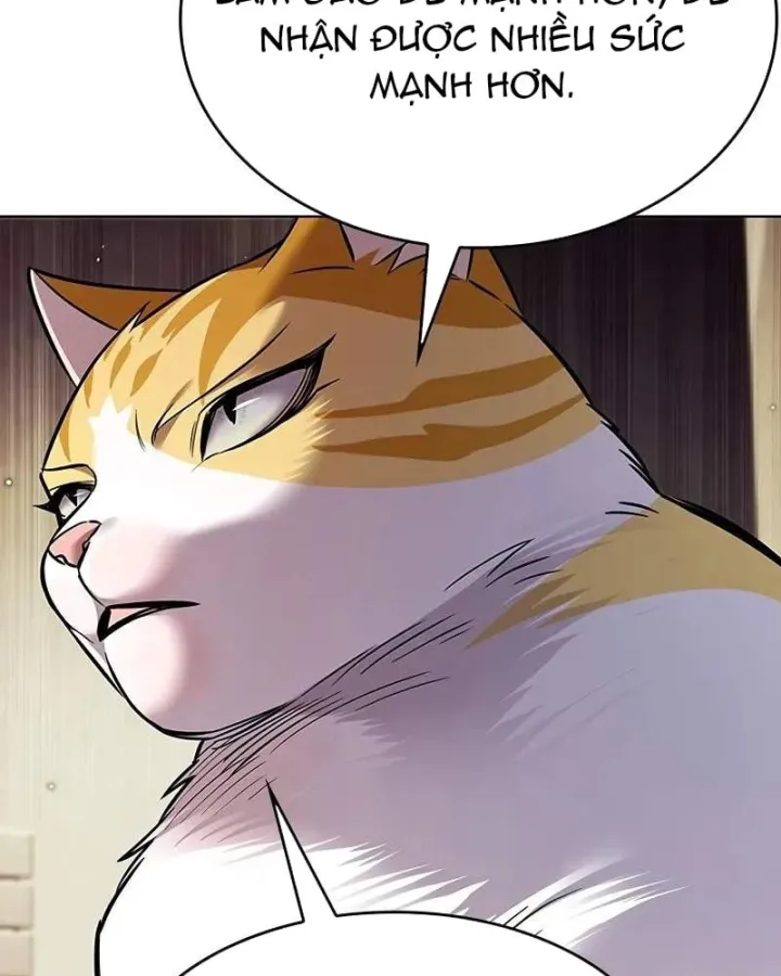 Hóa Thân Thành Mèo Chap 412 - Next Chap 413