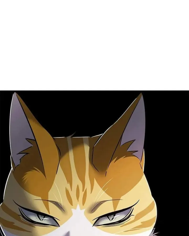 Hóa Thân Thành Mèo Chap 412 - Next Chap 413
