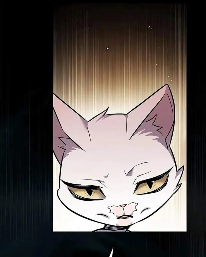 Hóa Thân Thành Mèo Chap 412 - Next Chap 413