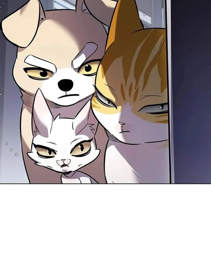 Hóa Thân Thành Mèo Chap 412 - Next Chap 413