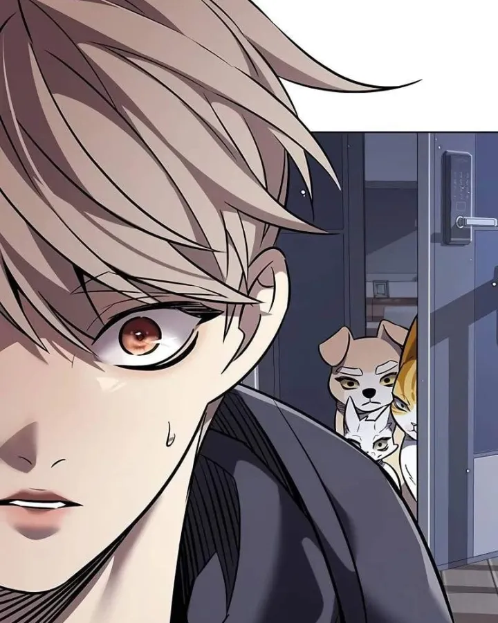 Hóa Thân Thành Mèo Chap 412 - Next Chap 413