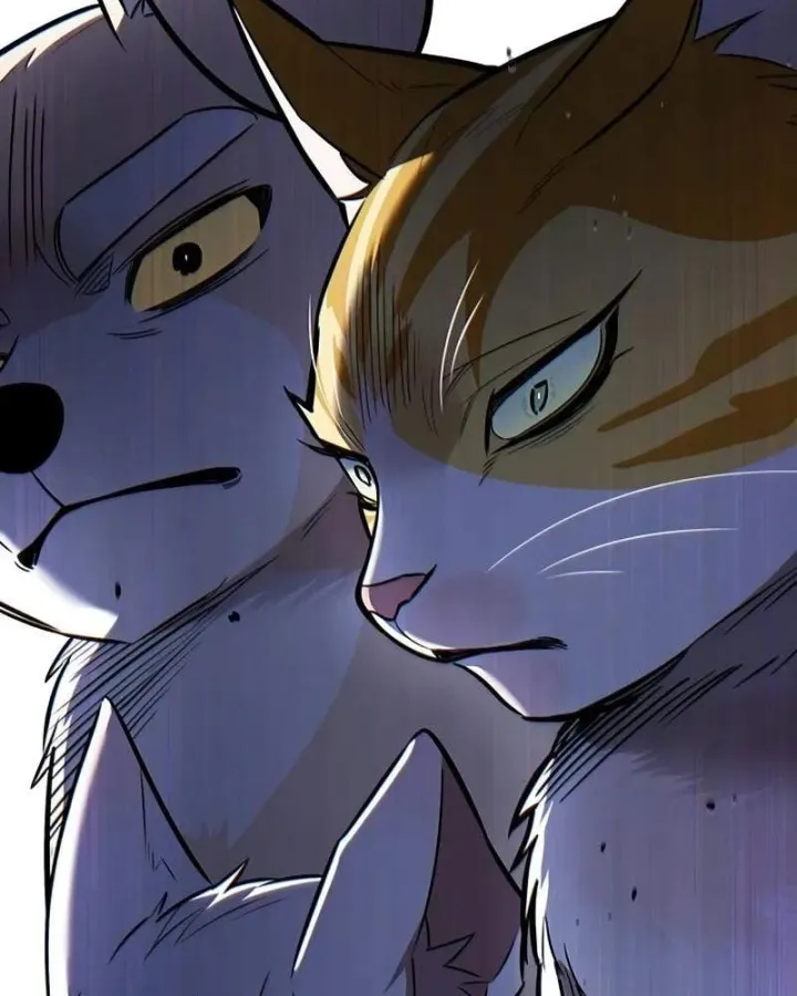 Hóa Thân Thành Mèo Chap 412 - Next Chap 413