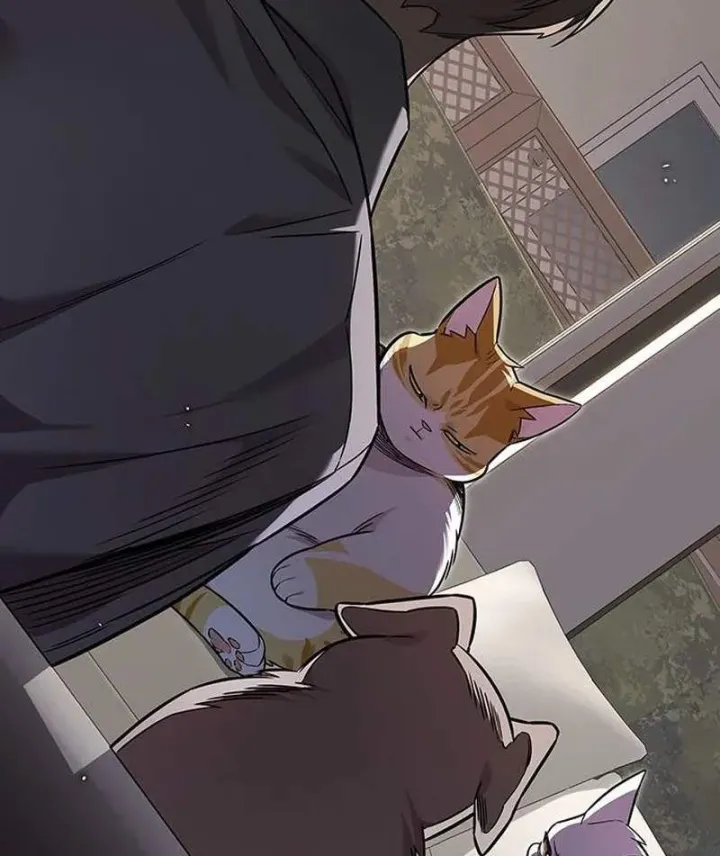 Hóa Thân Thành Mèo Chap 413 - Next Chap 414