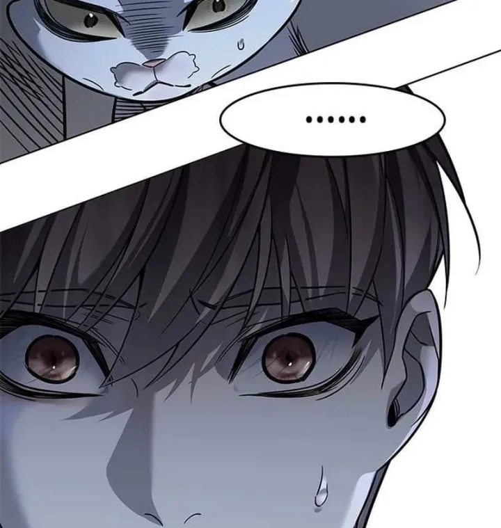 Hóa Thân Thành Mèo Chap 413 - Next Chap 414