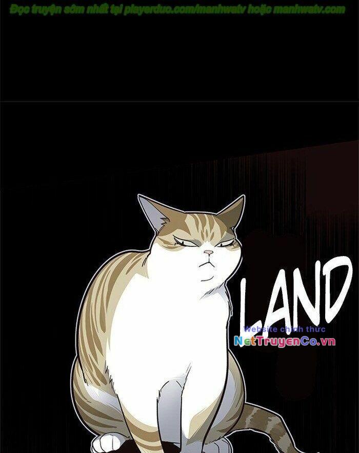 Hóa Thân Thành Mèo Chap 45 - Next Chap 46