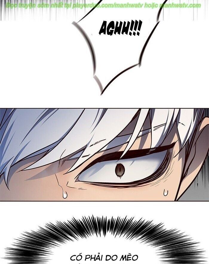 Hóa Thân Thành Mèo Chap 45 - Next Chap 46