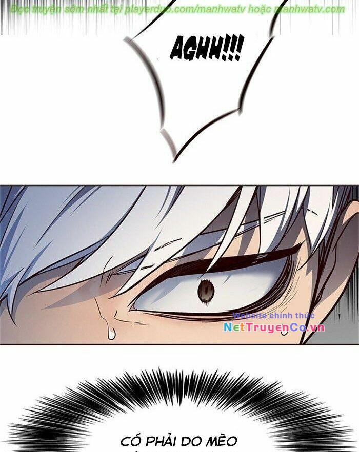 Hóa Thân Thành Mèo Chap 45 - Next Chap 46