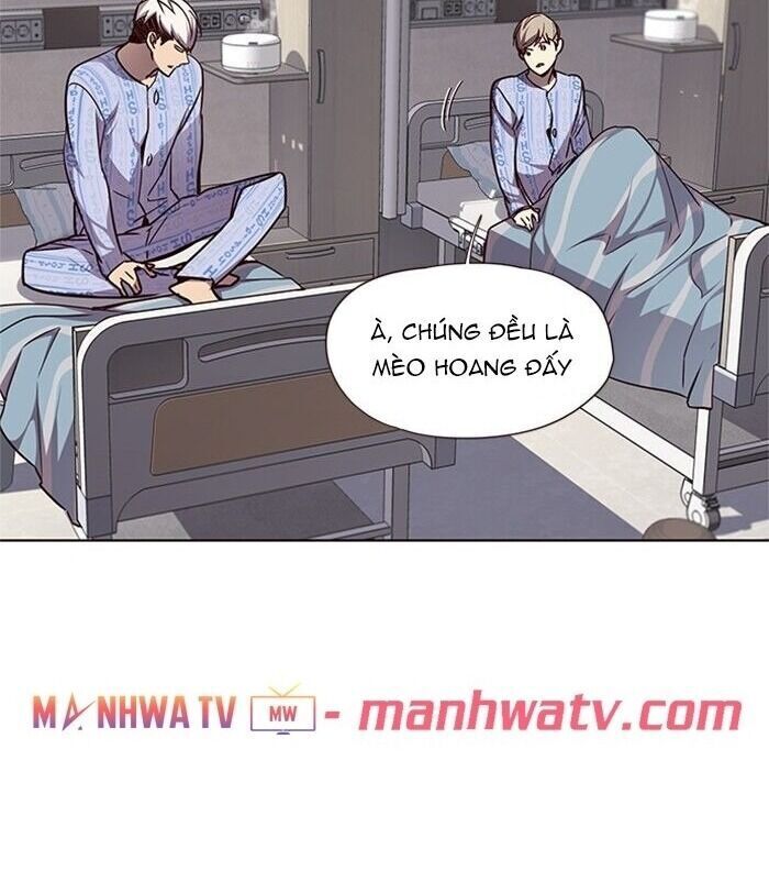 Hóa Thân Thành Mèo Chap 46 - Next Chap 47