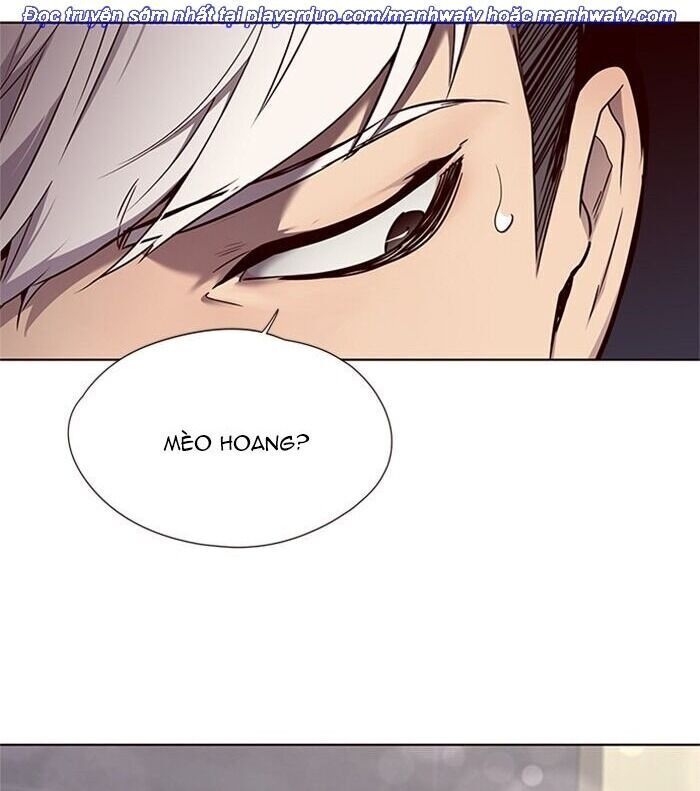 Hóa Thân Thành Mèo Chap 46 - Next Chap 47