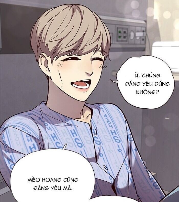 Hóa Thân Thành Mèo Chap 46 - Next Chap 47