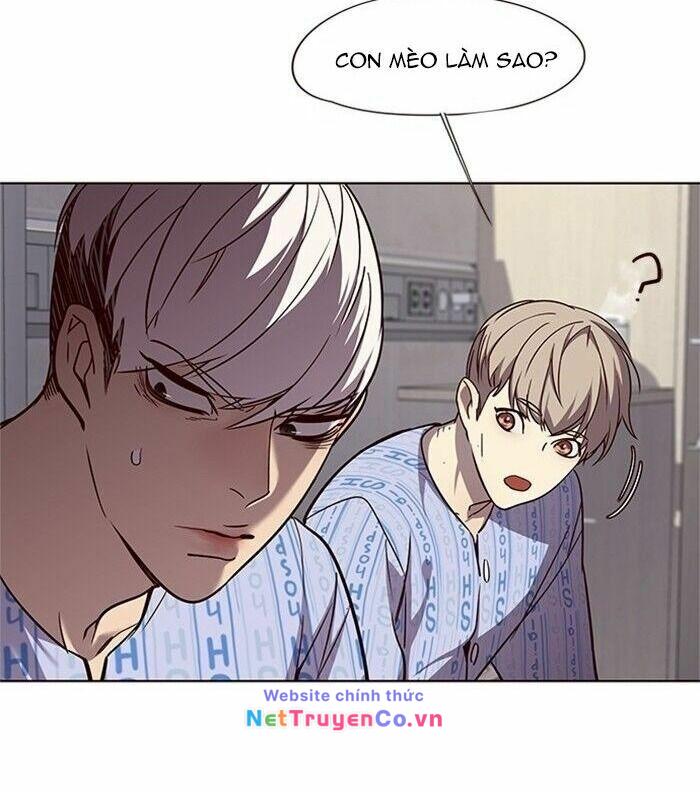 Hóa Thân Thành Mèo Chap 46 - Next Chap 47