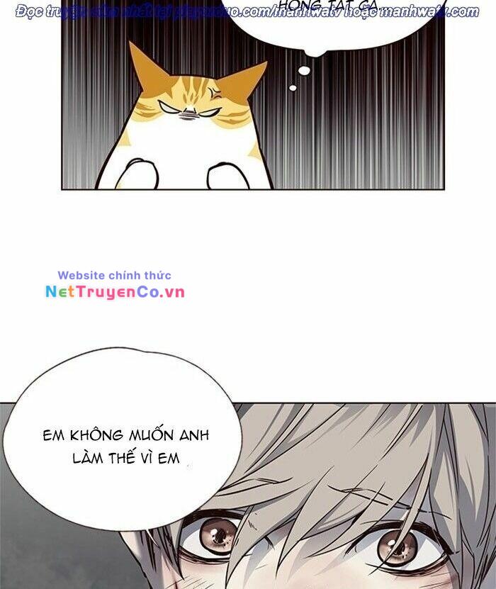 Hóa Thân Thành Mèo Chap 46 - Next Chap 47