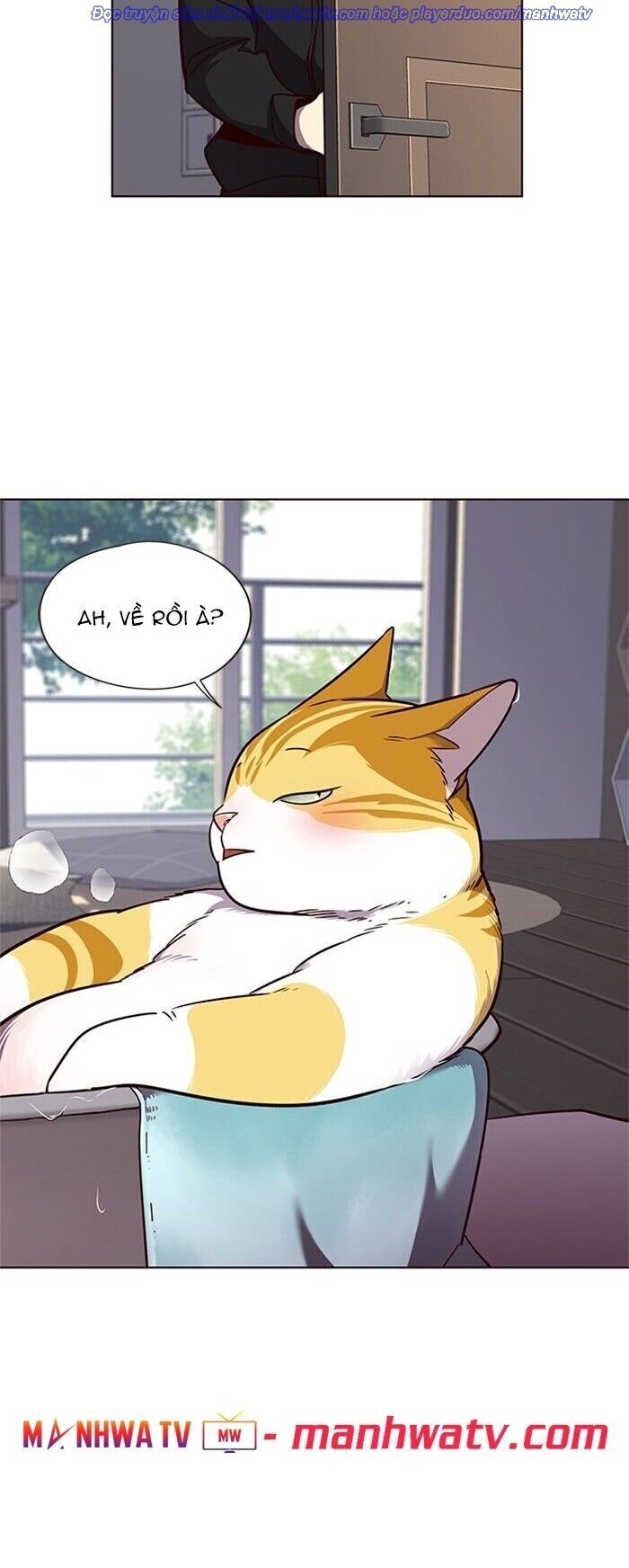 Hóa Thân Thành Mèo Chap 47 - Next Chap 48