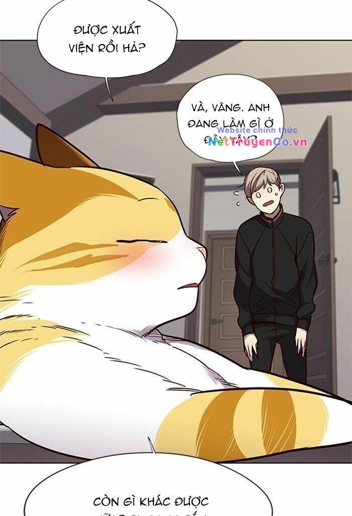 Hóa Thân Thành Mèo Chap 47 - Next Chap 48