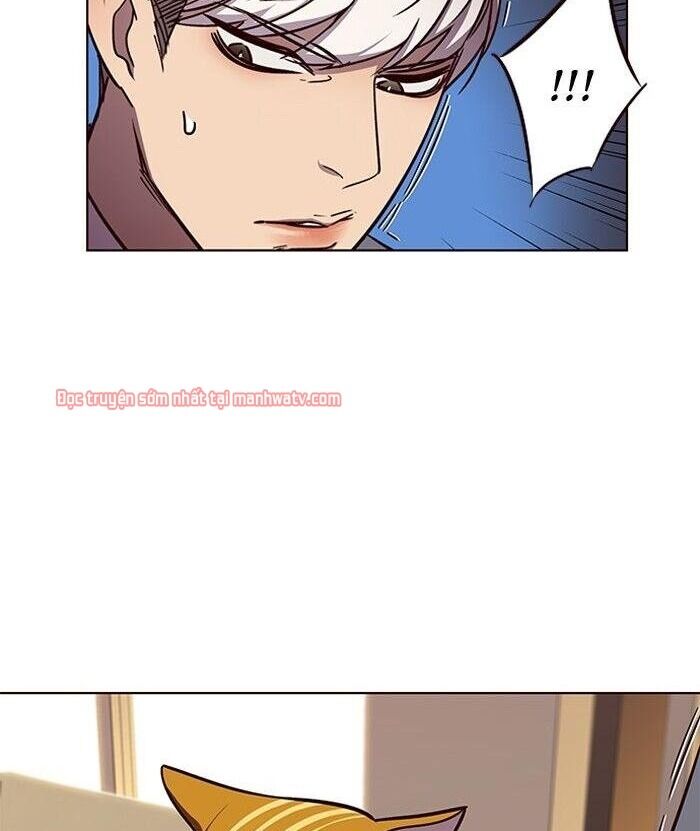 Hóa Thân Thành Mèo Chap 49 - Next Chap 50